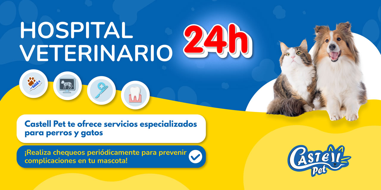 Hospital veterinario 24 Horas